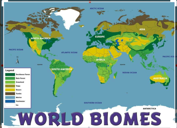 www blue planet biomes